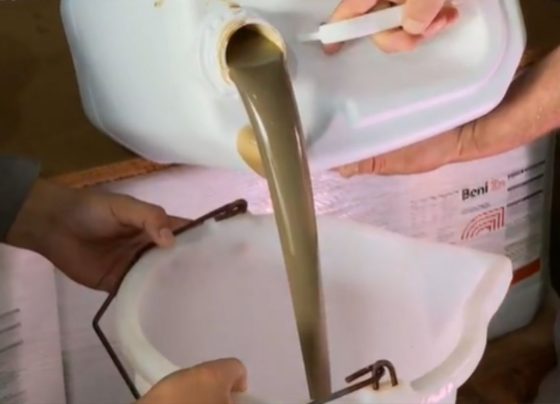 Resto de tilapia vira fertilizante emMT foto TVCA