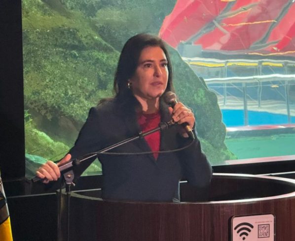 simone tebet