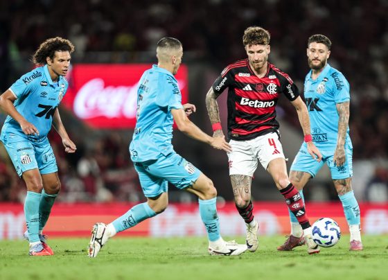Santos perde virada para o Flamengo em jogo do Brasileirão 2023